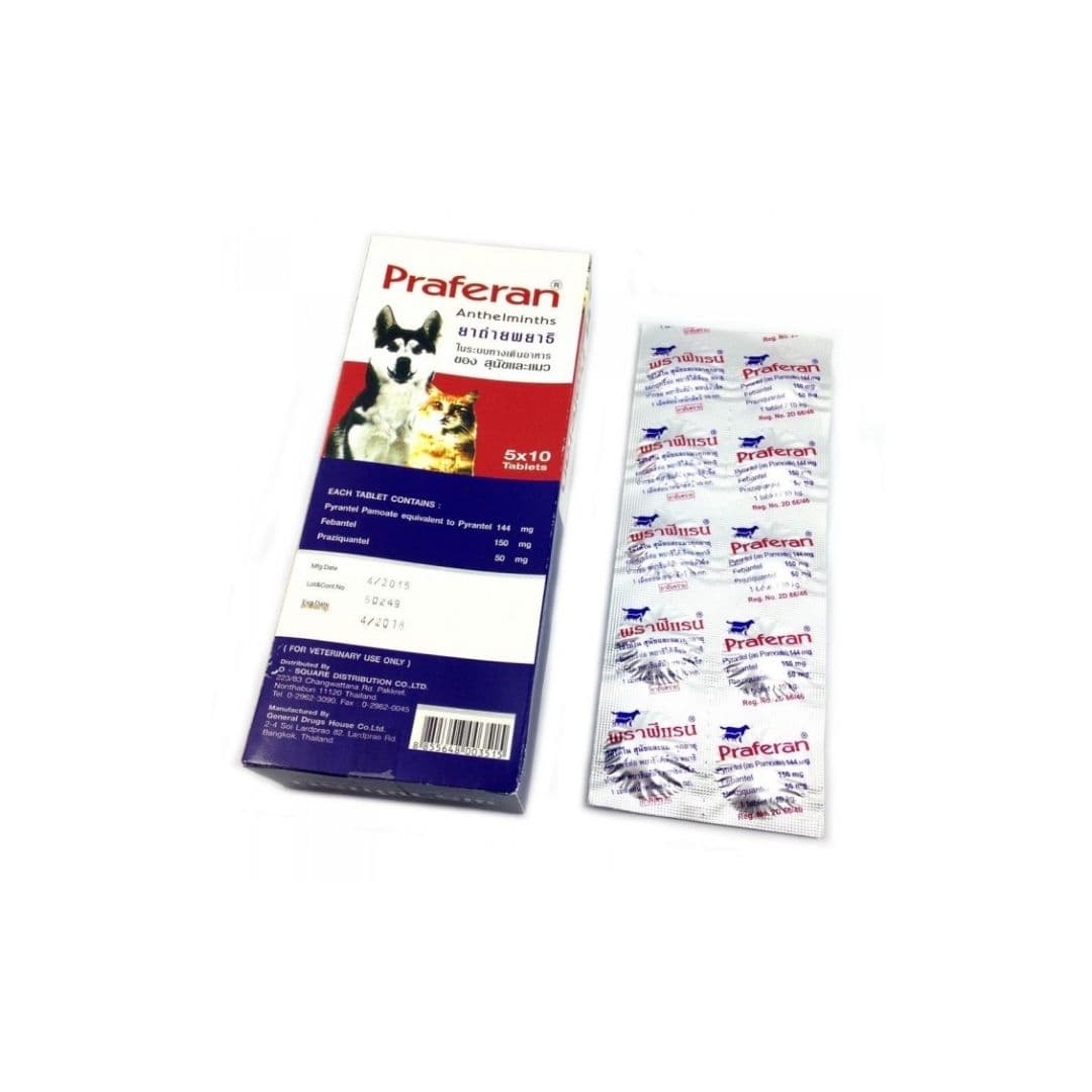 Praferan – 1 Deworming Tablet for Cat n Dogs / (Helminticide - L)
