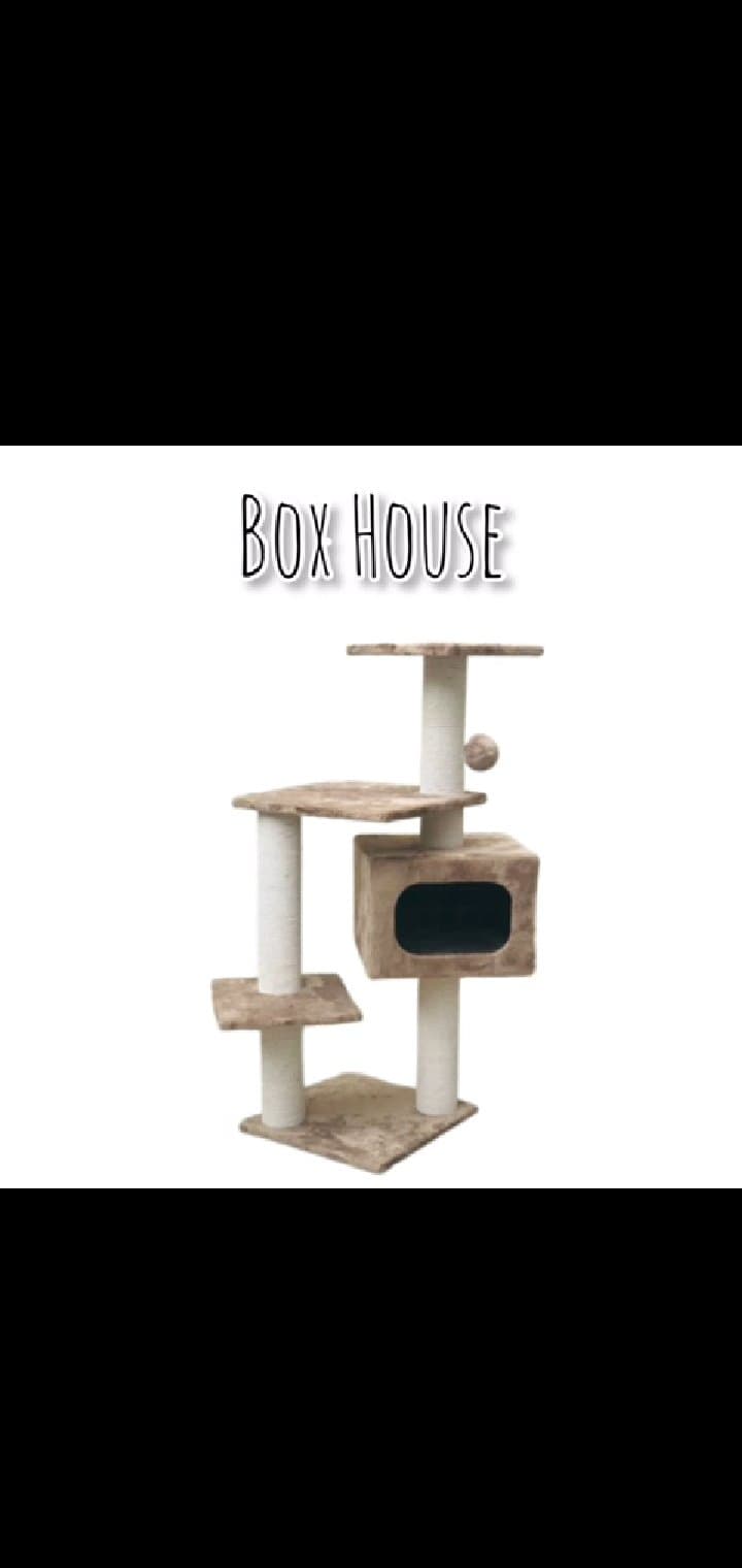 Box House Cat Scratching Post