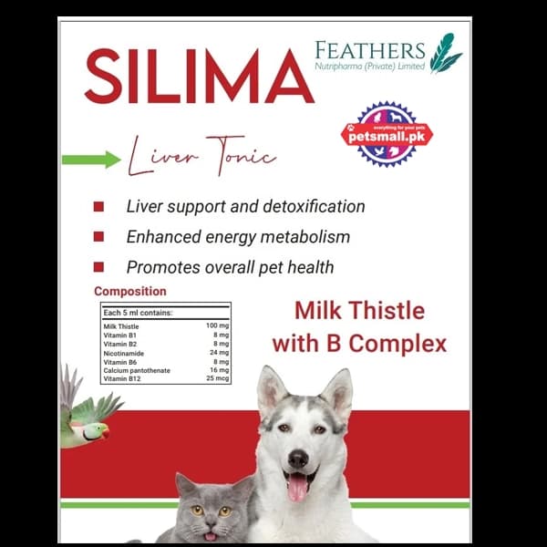 Silma Syrup- Liver Tonic